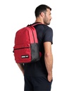 ARENA TEAM BACKPACK 30