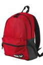 ARENA TEAM BACKPACK 30